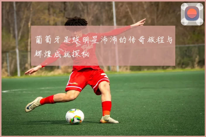 葡萄牙足球明星沛沛的传奇旅程与辉煌成就探秘