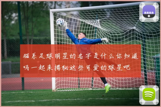 猫系足球明星的名字是什么你知道吗一起来揭秘这些可爱的球星吧