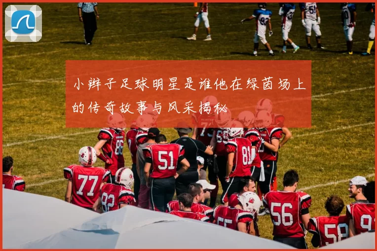 小辫子足球明星是谁他在绿茵场上的传奇故事与风采揭秘