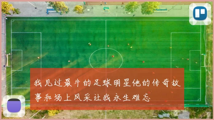 我见过最牛的足球明星他的传奇故事和场上风采让我永生难忘
