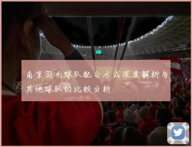 南京羽毛球队配合方式深度解析与其他球队的比较分析