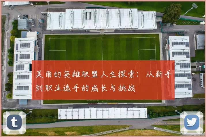 吴丽的英雄联盟人生探索：从新手到职业选手的成长与挑战