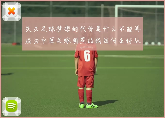 失去足球梦想的代价是什么不能再成为中国足球明星的我该何去何从