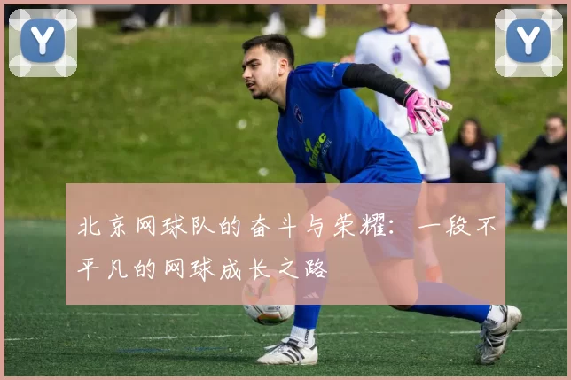 北京网球队的奋斗与荣耀：一段不平凡的网球成长之路