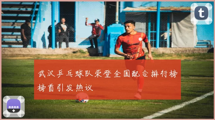 武汉乒乓球队荣登全国配合排行榜榜首引发热议