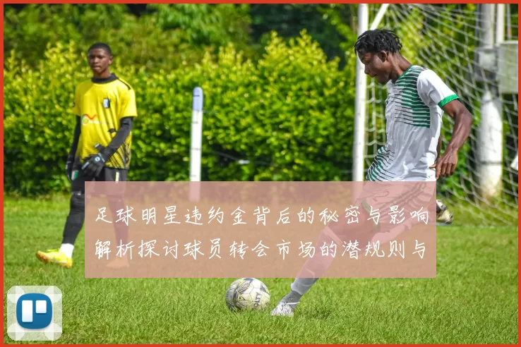 足球明星违约金背后的秘密与影响解析探讨球员转会市场的潜规则与挑战