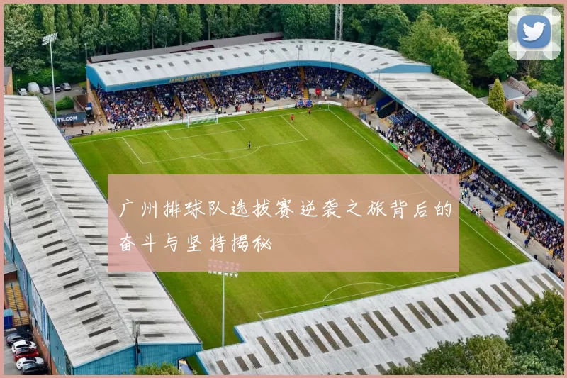 广州排球队选拔赛逆袭之旅背后的奋斗与坚持揭秘