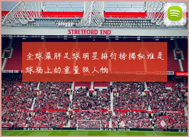全球最胖足球明星排行榜揭秘谁是球场上的重量级人物