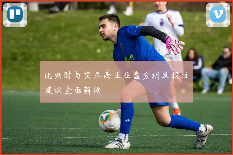 比利时与突尼西亚亚盘分析及投注建议全面解读