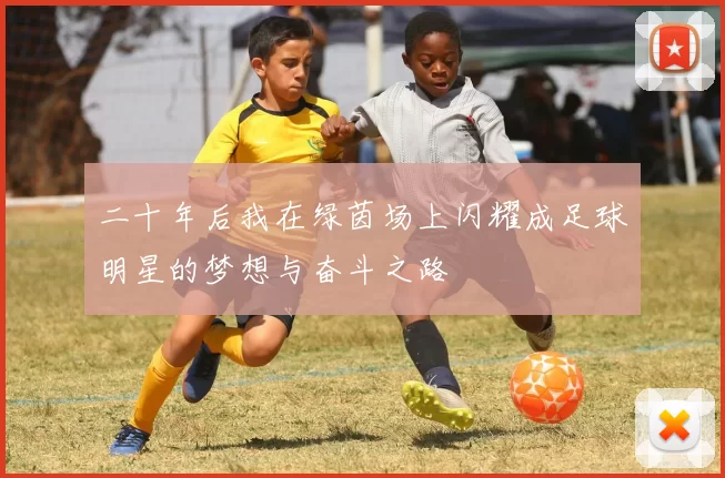二十年后我在绿茵场上闪耀成足球明星的梦想与奋斗之路