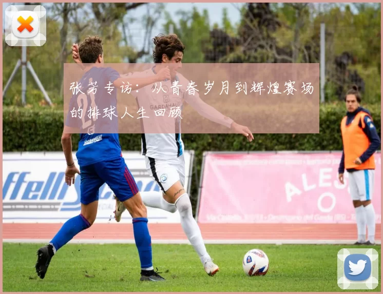 张芳专访：从青春岁月到辉煌赛场的排球人生回顾