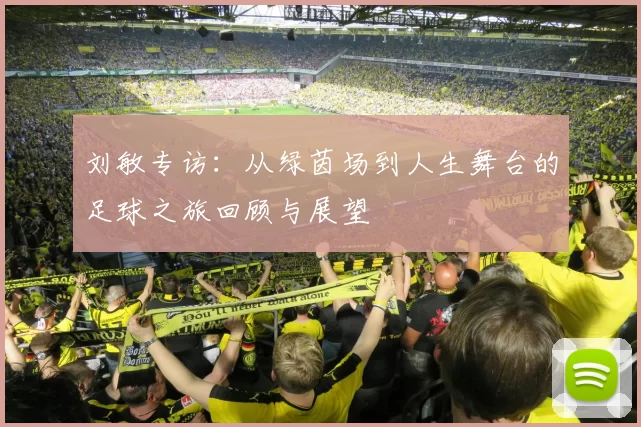 刘敏专访：从绿茵场到人生舞台的足球之旅回顾与展望