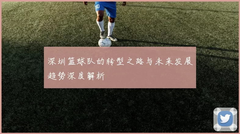 深圳篮球队的转型之路与未来发展趋势深度解析